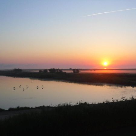 Chambre Les Flamants, Avec Vue Imprenable Sur Les Etangs, Les Oiseaux, La Nature, Petit Dejeuner Compris Saintes-Maries-de-la-Mer Luaran gambar