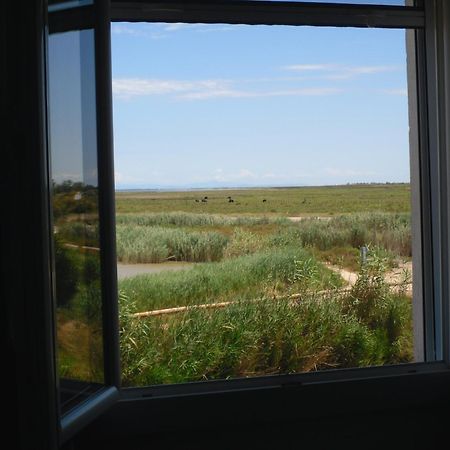 Chambre Les Flamants, Avec Vue Imprenable Sur Les Etangs, Les Oiseaux, La Nature, Petit Dejeuner Compris Saintes-Maries-de-la-Mer Luaran gambar