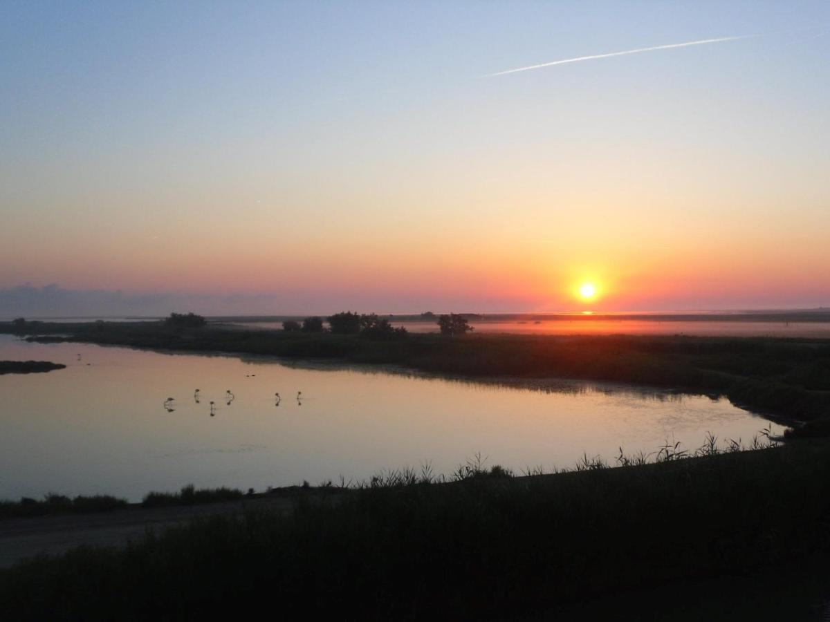 Chambre Les Flamants, Avec Vue Imprenable Sur Les Etangs, Les Oiseaux, La Nature, Petit Dejeuner Compris Saintes-Maries-de-la-Mer Luaran gambar