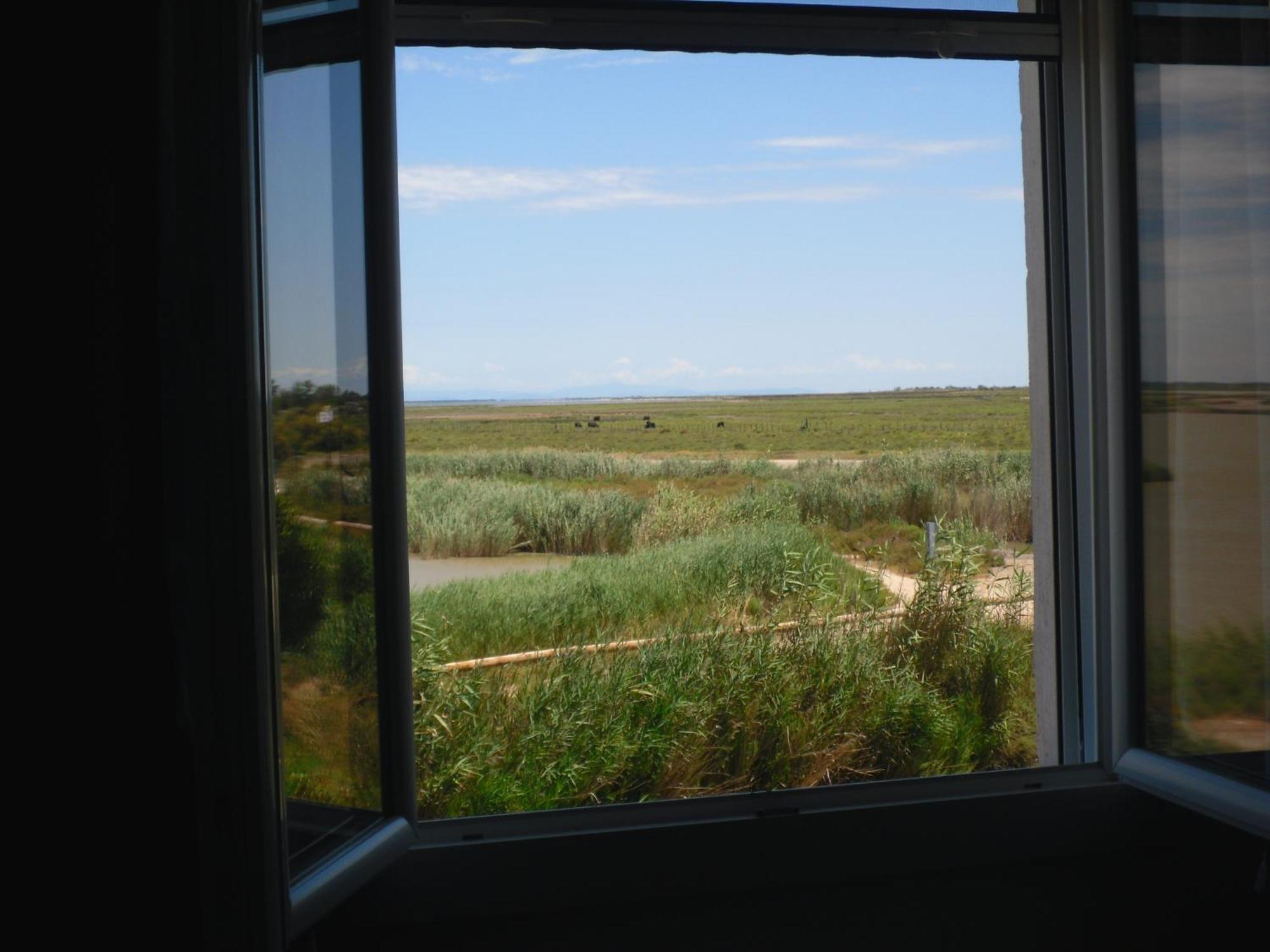 Chambre Les Flamants, Avec Vue Imprenable Sur Les Etangs, Les Oiseaux, La Nature, Petit Dejeuner Compris Saintes-Maries-de-la-Mer Luaran gambar